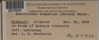 Image Associated With the Occurence